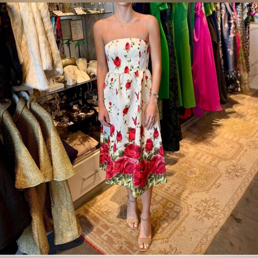 Sia dress in rosebud NWT SIZE MEDIUM flora bea